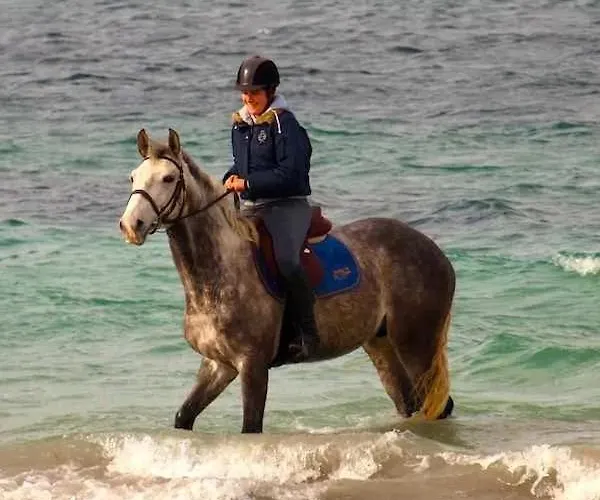 Panorama D'azur I Vue Mer&13 Personnes Brest